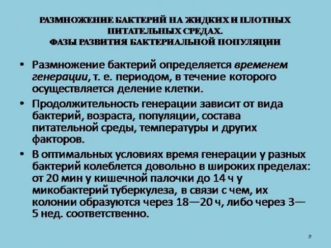 Что такое бактериальная культура, или воспитание «ручных» микроорганизмов