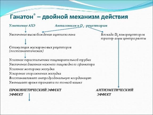 Ганатон – инструкция по применению, отзывы, цена, аналоги таблеток