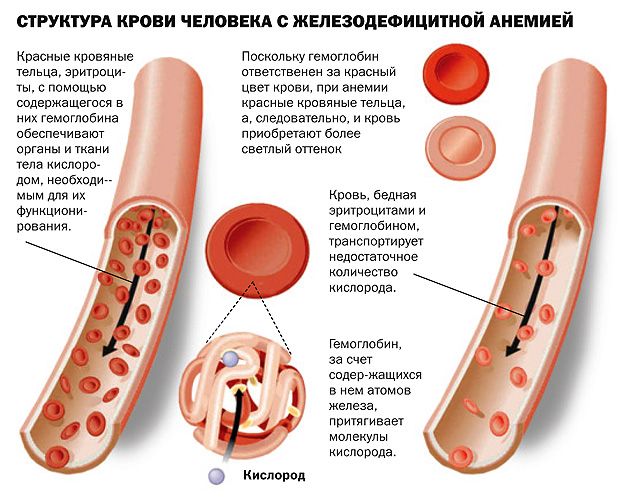 Сорбифер дурулес - инструкция по применению, аналоги, отзывы, цена