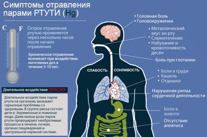 Куда выбросить энергосберегающую лампочку?