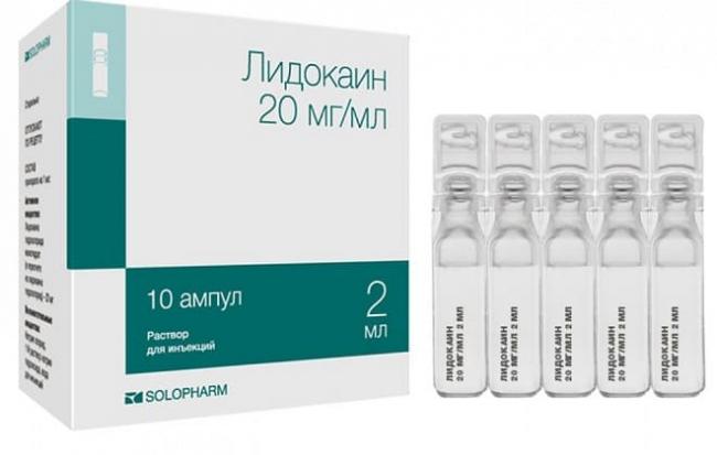 Укол собаке внутримышечно, подкожно, в холку, как сделать, куда колоть