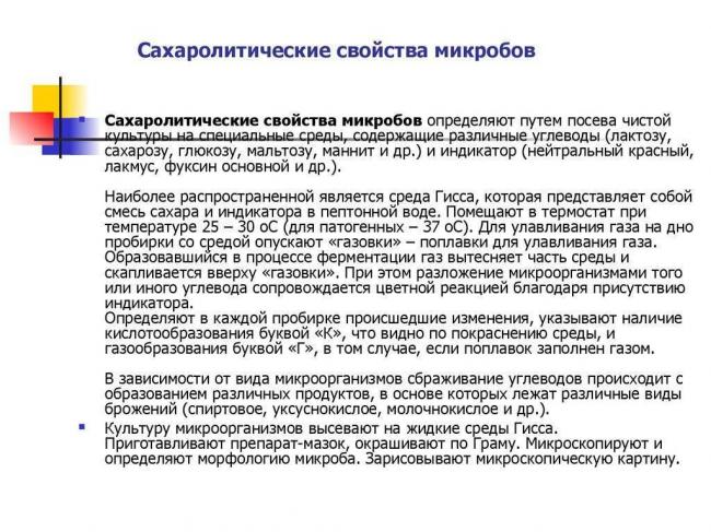 Какие факторы способствуют росту и развитию бактерий в различных средах