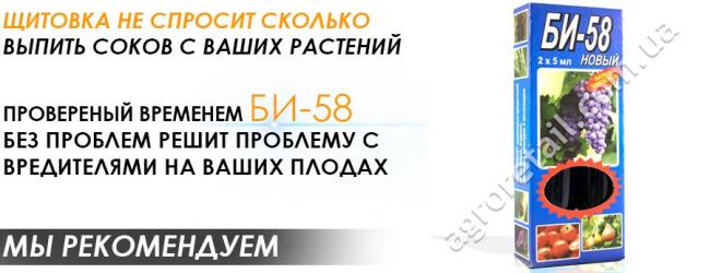 Паста розенталя
