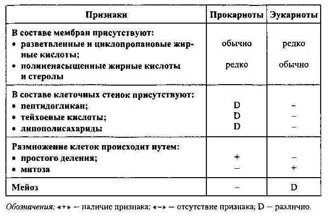 Биология: являются ли бактерии эукариотами? срочно надо!!!