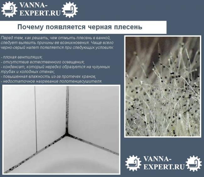 Как отстирать плесень с одежды