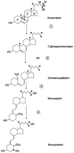- гормоны обмена кальция - биохимия