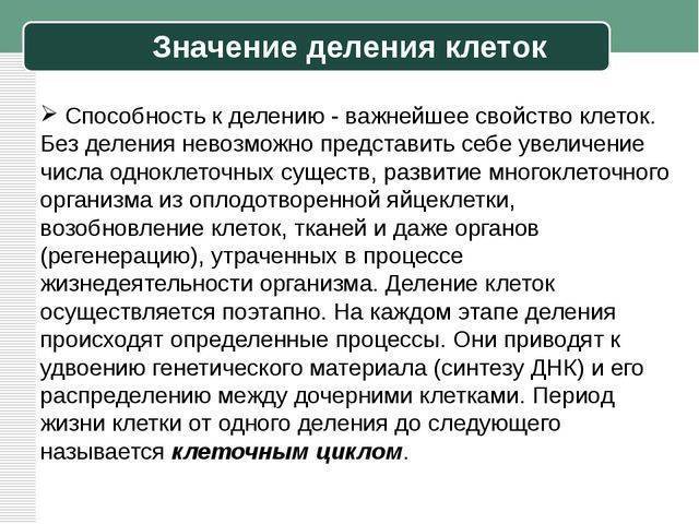 Размножаются бактерии путем деления и делают это очень быстро