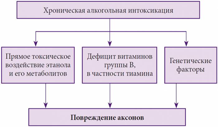 Часть i. общая патофизиология — студопедия