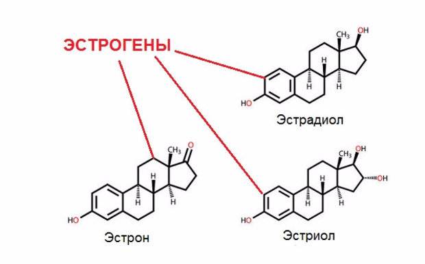 Эстрадиол полная инструкция по применению свечей, таблеток и геля, побочные эффекты и аналоги препарата