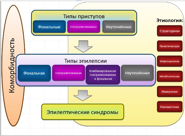 Эпилепсия (м.я. киссин) - кафедра психиатрии и наркологии 1спбгму им. и.п. павлова
