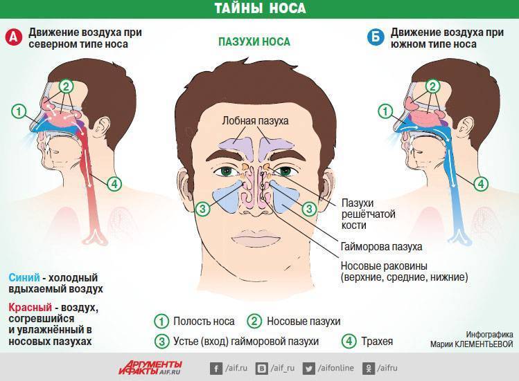 Заложенность носа без насморка у взрослых – причины и лечение