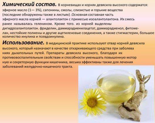 Рецепты с корнем девясила для лечения кашля у детей и взрослых