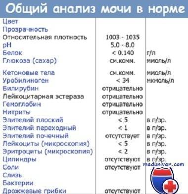 Бактерии в моче у мужчин: причины появления, возможные заболевания и методы лечения