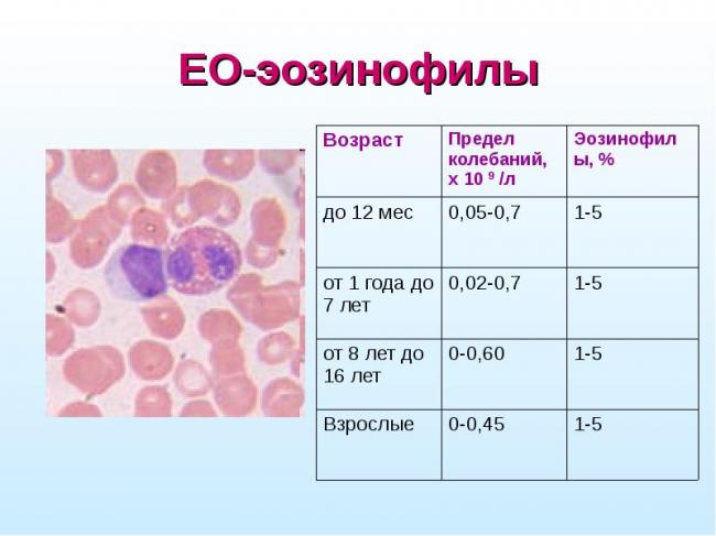 Соэ - скорость оседания эритроцитов