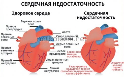 Крестор: таблетки 5 мг, 10 мг, 20 мг и 40 мг