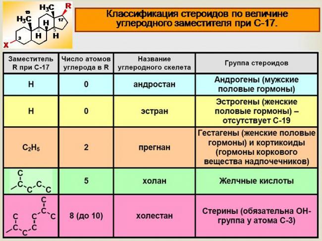 Презентация на тему: "половые гормоны. андрогены и эстрогены. работу выполнили студентки первого курса группы 313: веригина ирина и маслова дарья.". скачать бесплатно и без регистрации.