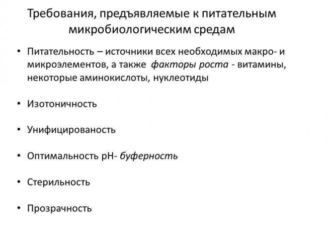Что такое бактериальная культура, или воспитание «ручных» микроорганизмов