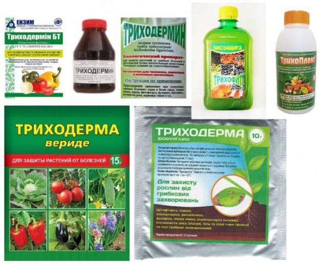 Биопрепараты комплексного действия повышают продуктивность и защищают растения от болезней