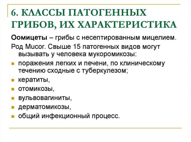 Классификация мицелиальных грибов. характеристика некоторых представителей - грибы - микробиология учебное пособие - красникова л. в. - троицкий мост 2012