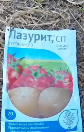 Гербицид лазурит – правила использования раствора от сорняков
