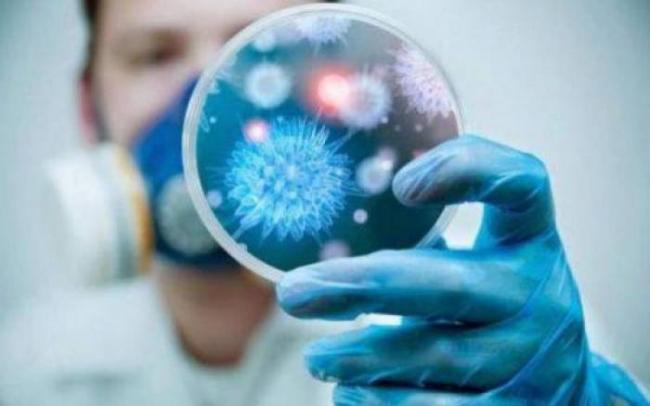 Что такое цитомегаловирус и в чём особенности и опасность цмв-инфекции
