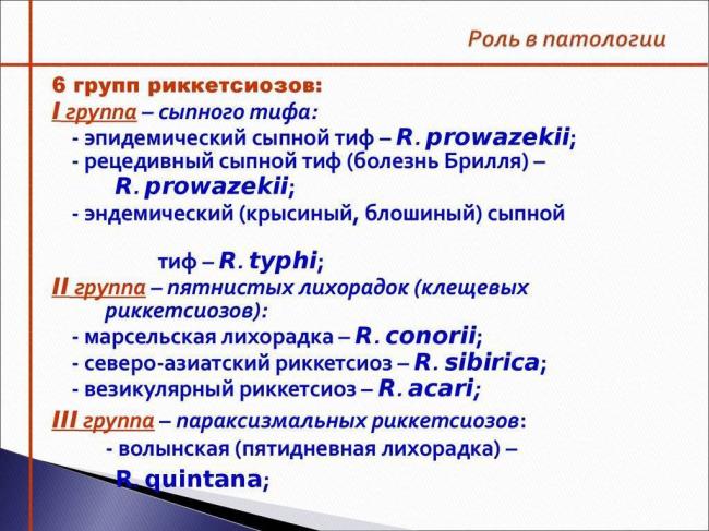 Клещевые риккетсиозы — большая медицинская энциклопедия