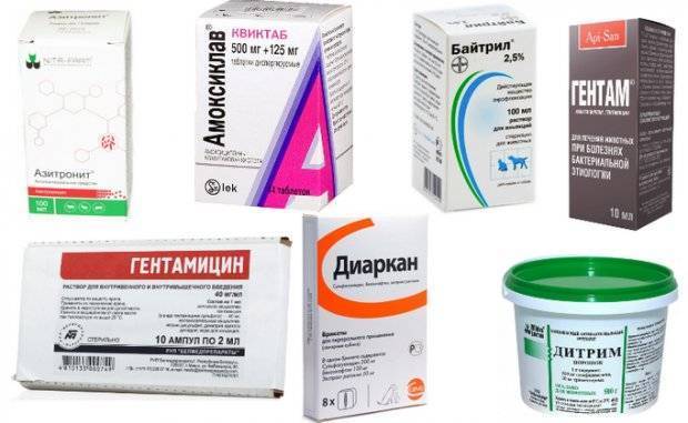 Ветбицин-5 Vetbicinum-5