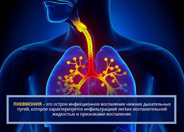 Собачий жир лечит кашель быстро и мягко