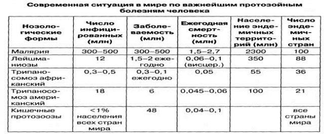 Акантамебиаз: причины заболевания, основные симптомы, лечение и профилактика