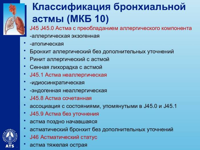 Об основных разновидностях бронхиальной астмы