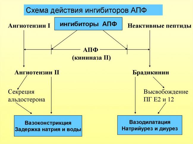 Рениприл (renipril) инструкция по применению