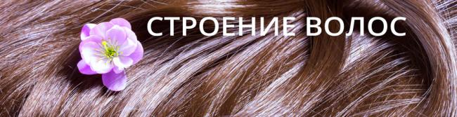 Реферат кератин