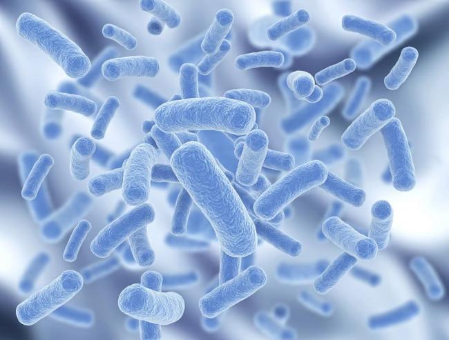 Escherichia coli 10/6 в моче