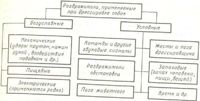 Некроз. признаки, причины, формы некроза.