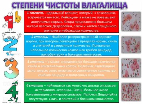 Мазок на флору у женщин: что по нему определяют, норма и патология