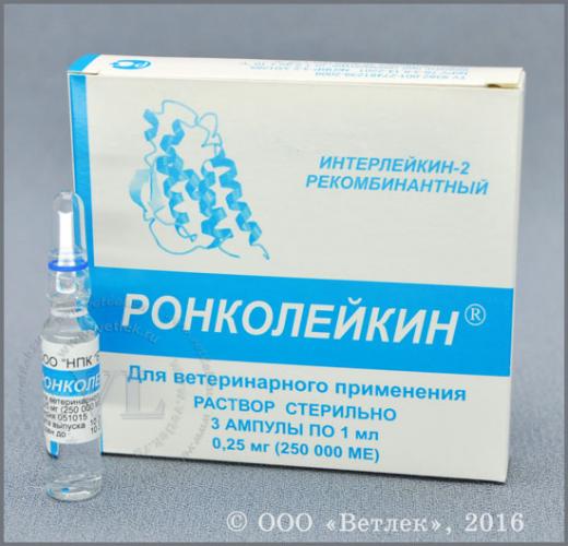 Ронколейкин - реальные отзывы принимавших, возможные побочные эффекты и аналоги