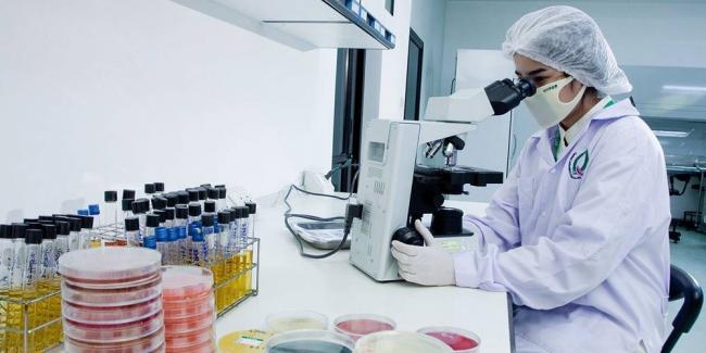 В чем состоит помощь propionibacterium для человека