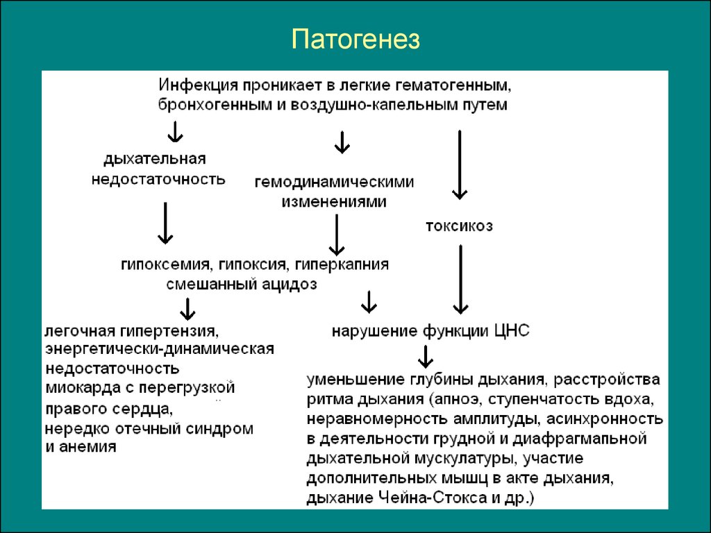 Общее понятие о болезни. этиология и патогенез. роль генетических факторов в патологии человека. - презентация