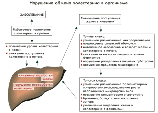 “холестерин” ю.б. буланов