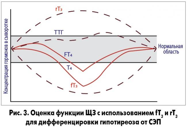 Т3 общий