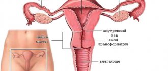Желто-зеленые выделения из влагалища без запаха, причины и лечение