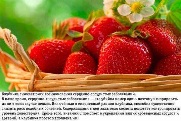 Аллергия на клубнику у ребёнка и взрослого: симптомы, фото, лечение и профилактика аллергической реакции