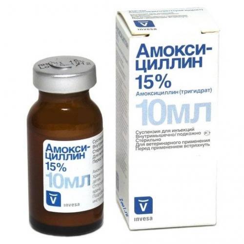 Амоксициллин для кошек инструкция по применению