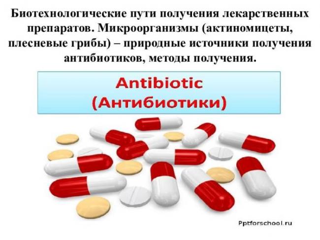 Антибиотик – главный враг бактерий