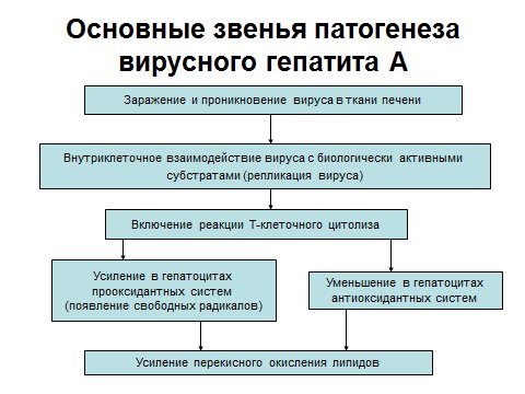 Понятие о этиологии, патогенезе, клинической картине болезни
