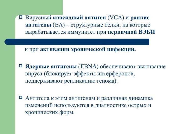 Вирус эпштейна – барр у детей: все от симптомов до лечения