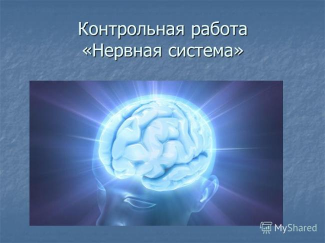 1)кто из учёных установил из что именно нервная система обеспечивает приспособление организма к внешней среде? 2) что образует центральную нервную систему?