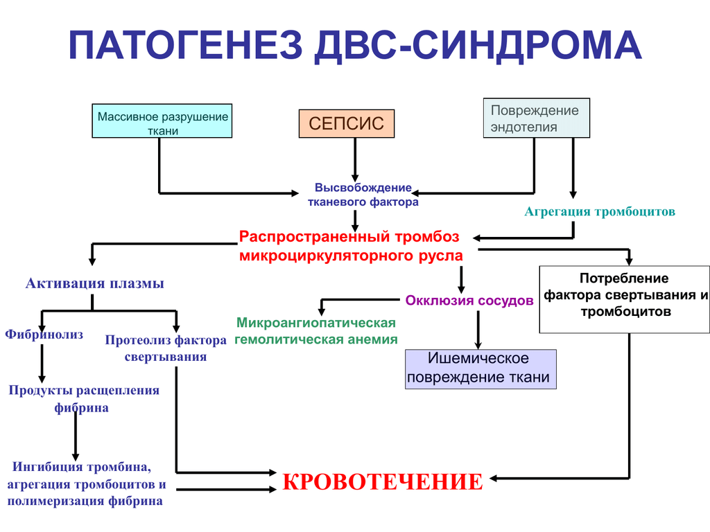 Понятие. этиология. патогенез.