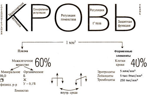 Гомеостаз: процесс, функции, роль, механизмы, примеры, что это в биологии, экологии и психологии, нарушение, уровни, изменения