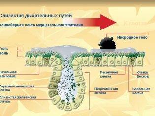 Флуифорт отзывы